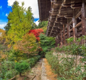 Japon: Kobe et plus loin Hyōgo