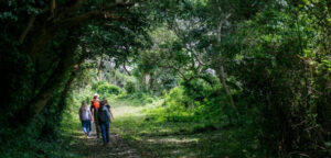 Japon: 8 expériences nature au parc national d'Ise-shima