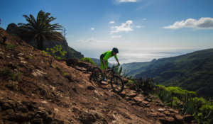 Canaries: tourisme lent à la Gomera