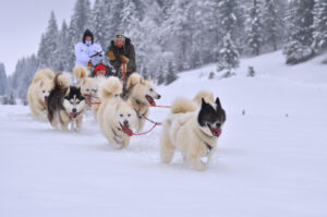 ©Jacques Carrot - Station des Rousses