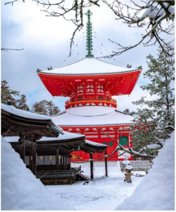 ANA: stopover sans surcoût à Tokyo, puis découvrir le Japon de l'intérieur