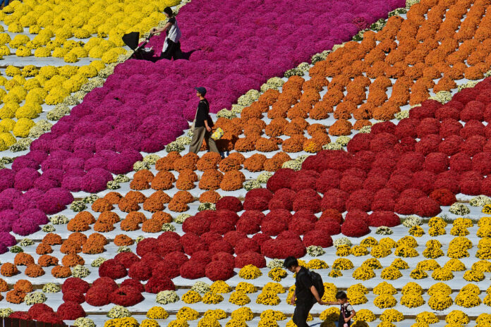 Credit - Serakogen Farm