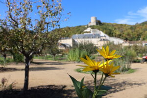 Vue depuis Potager-fruitier ©Château de La Roche-Guyon