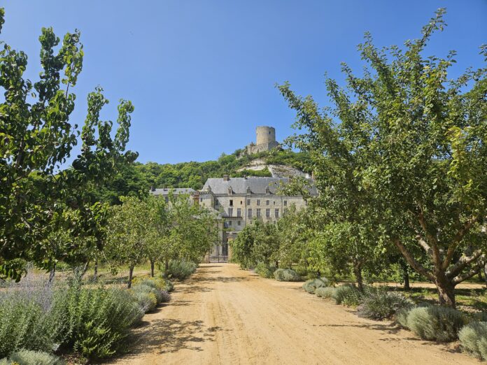 Vue depuis Potager-fruitier ©Château de La Roche-Guyon