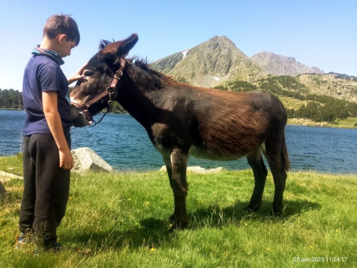 Un week-end national pour découvrir la randonnée avec un âne