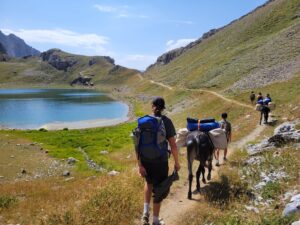 Un week-end national pour découvrir la randonnée avec un âne