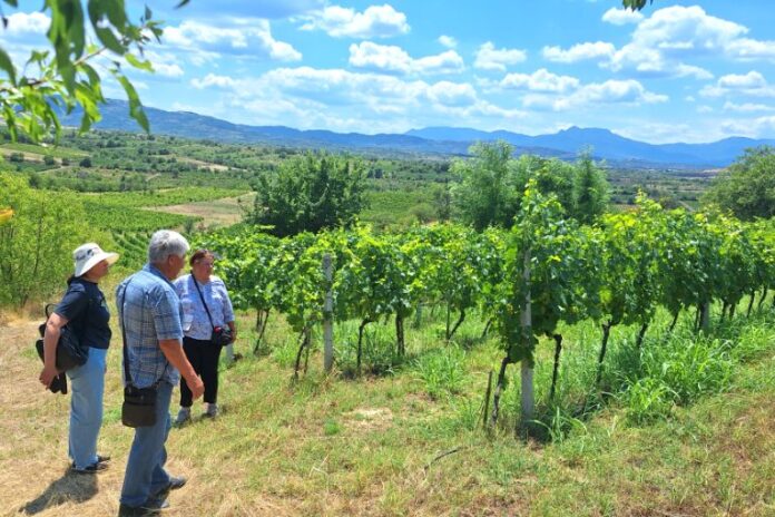 Visite d’un vignoble dans le cadre du projet TUI Field to Fork Western Balkans